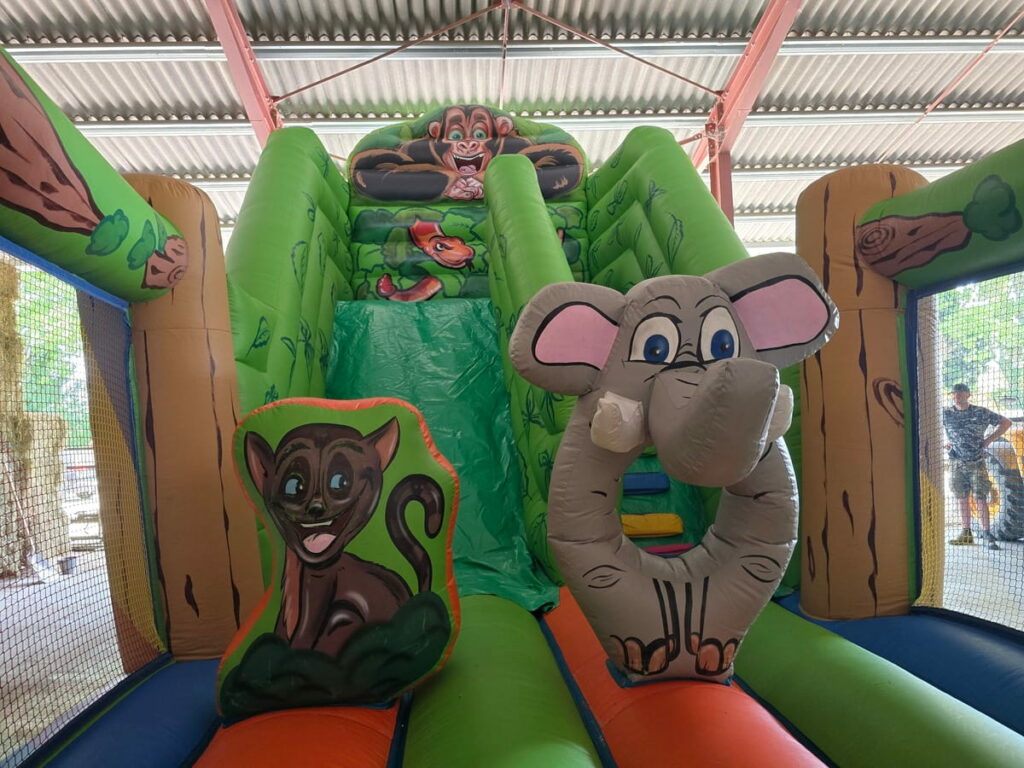 Vue interieur toboggan super jungle sans enfants